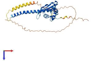 AlphaFold protein structure predicition of Human Recombinant TSPY4 Protein, UniprotID P0CV99