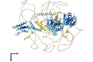 AlphaFold protein structure predicition of Human Recombinant ATAD2 Protein, UniprotID Q6PL18