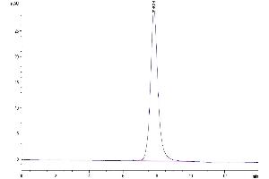 The purity of Mouse Complement Factor D is greater than 95 % as determined by SEC-HPLC. (Adipsin Protein (AA 26-259) (Fc Tag))
