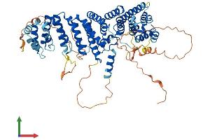 AlphaFold protein structure predicition of Mouse Recombinant Rrn3 Protein, UniprotID B2RS91