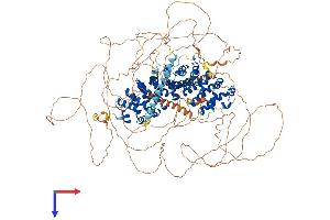 AlphaFold protein structure predicition of Human Recombinant CTNND2 Protein, UniprotID Q9UQB3