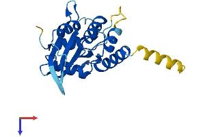 AlphaFold protein structure predicition of Mouse Recombinant Aicda Protein, UniprotID Q9WVE0