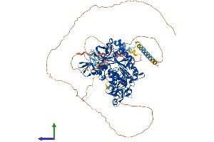 AlphaFold protein structure predicition of Mouse Recombinant Dnmt3a Protein, UniprotID O88508