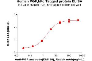 Placenta Growth Factor (PGF) (AA 19-170) protein (Fc Tag)