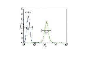PLA2G2D Antibody (C-term) (ABIN655102 and ABIN2844734) flow cytometric analysis of HL-60 cells (right histogram) compared to a negative control cell (left histogram).
