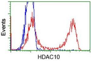 HEK293T cells transfected with either RC218536 overexpress plasmid (Red) or empty vector control plasmid (Blue) were immunostained by anti-HDAC10 antibody (ABIN2453115), and then analyzed by flow cytometry. (HDAC10 anticorps)
