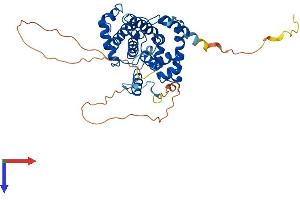 AlphaFold protein structure predicition of Human Recombinant CCNE2 Protein, UniprotID O96020