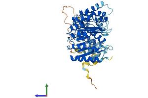AlphaFold protein structure predicition of Human Recombinant PRAMEF8 Protein, UniprotID Q5VWM4