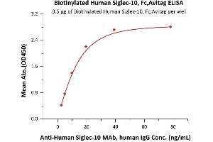 Immobilized Biotinylated Human Siglec-10, Fc,Avitag (ABIN6938924,ABIN6950969) at 5 μg/mL (100 μL/well) on Streptavidin  precoated (0.