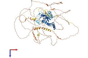 AlphaFold protein structure predicition of Human Recombinant SUPT20HL1 Protein, UniprotID Q3ZLR7
