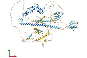 AlphaFold protein structure predicition of Human Recombinant PDZRN3 Protein, UniprotID Q9UPQ7