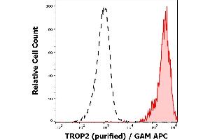 Separation of A431 cells (red-filled) from human peripheral whole blood cells (black-dashed) in flow cytometry analysis (surface staining) stained using anti-human TROP-2 (TrMab-6) purified antibody (concentration in sample 1,7 μg/mL, GAM APC). (TACSTD2 anticorps)