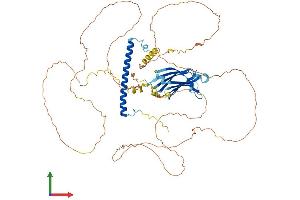 AlphaFold protein structure predicition of Mouse Recombinant Rab11fip1 Protein, UniprotID Q9D620