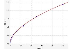 Typical standard curve (IGSF1 Kit ELISA)
