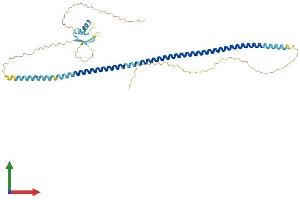 AlphaFold protein structure predicition of Mouse Recombinant H1-7 Protein, UniprotID Q8CJI4
