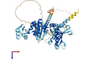 AlphaFold protein structure predicition of Mouse Recombinant Igf2bp1 Protein, UniprotID O88477