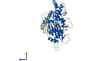 AlphaFold protein structure predicition of Human Recombinant IPPK Protein, UniprotID Q9H8X2