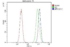Flow Cytometry analysis of 293T cells using anti-AFF4 antibody (ABIN7603136). (AFF4 anticorps  (N-Term))