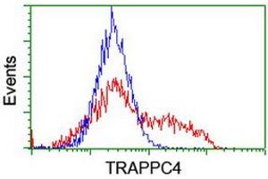 Image no. 2 for anti-Trafficking Protein Particle Complex 4 (TRAPPC4) antibody (ABIN1501264) (TRAPPC4 anticorps)