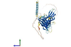 AlphaFold protein structure predicition of Mouse Recombinant Syt15 Protein, UniprotID Q8C6N3