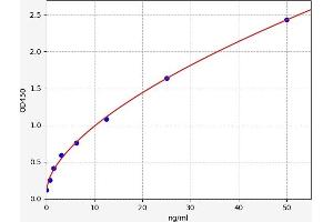 Typical standard curve (Fascin Kit ELISA)