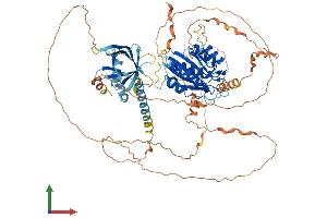 AlphaFold protein structure predicition of Human Recombinant MED25 Protein, UniprotID Q71SY5