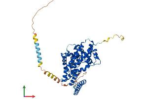 AlphaFold protein structure predicition of Human Recombinant FICD Protein, UniprotID Q9BVA6
