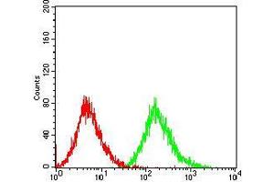 Flow cytometric analysis of Jurkat cells using PTPN1 mouse mAb (green) and negative control (red).