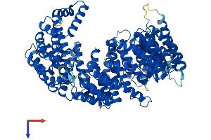 AlphaFold protein structure predicition of Mouse Recombinant Tnpo3 Protein, UniprotID Q6P2B1
