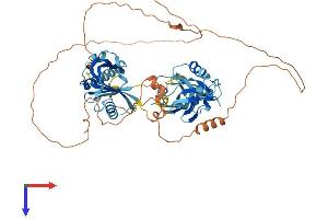 AlphaFold protein structure predicition of Mouse Recombinant Apba3 Protein, UniprotID O88888