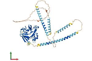 AlphaFold protein structure predicition of Mouse Recombinant Nptxr Protein, UniprotID Q99J85