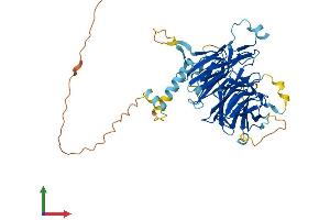AlphaFold protein structure predicition of Human Recombinant DCAF12L2 Protein, UniprotID Q5VW00