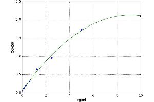Peripheral Myelin Protein 2 (PMP2) ELISA Kit