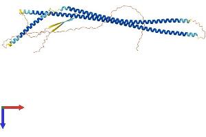 AlphaFold protein structure predicition of Human Recombinant KRT27 Protein, UniprotID Q7Z3Y8