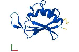 AlphaFold protein structure predicition of Human Recombinant C10orf53 Protein, UniprotID Q8N6V4