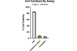 Competitor is commercially sourced Histone H3 from Calf Thymus.