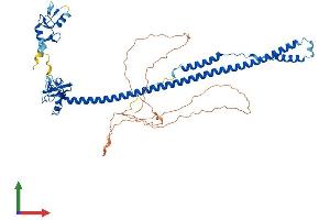 AlphaFold protein structure predicition of Human Recombinant TRIM8 Protein, UniprotID Q9BZR9