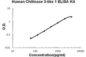 Human Chitinase 3-like 1/YKL-40 Accusignal ELISA Kit Human Chitinase 3-like 1/YKL-40 AccuSignal ELISA Kit standard curve. (Chitinase 3-Like 1/YKL-40 Kit ELISA)