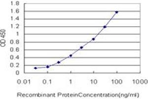 Detection limit for recombinant GST tagged MGC16169 is approximately 0. (TBCK anticorps  (AA 601-700))