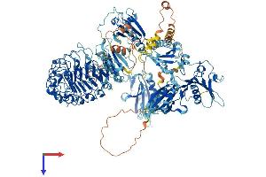 AlphaFold protein structure predicition of Human Recombinant FLII Protein, UniprotID Q13045