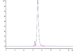 The purity of Biotinylated Cynomolgus CD3E&CD3G was greater than 95 % as determined by SEC-HPLC.