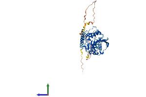 AlphaFold protein structure predicition of Mouse Recombinant B4galt1 Protein, UniprotID P15535