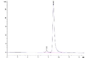 The purity of Biotinylated Human CD40 Ligand Trimer is greater than 95 % as determined by SEC-HPLC.
