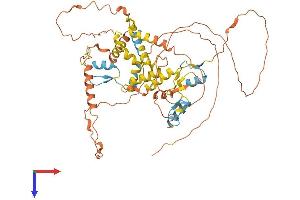 AlphaFold protein structure predicition of Human Recombinant ZIM2 Protein, UniprotID Q9NZV7