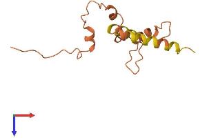 AlphaFold protein structure predicition of Human Recombinant LINC00311 Protein, UniprotID Q8N616