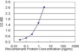 ACTN4 (Human) Matched Antibody Pair
