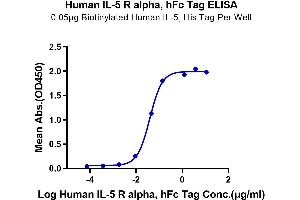 Immobilized Human IL-5, His Tag at 0.