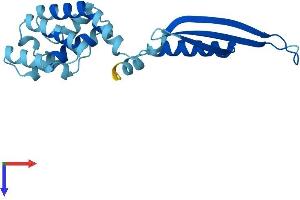 AlphaFold protein structure predicition of Mouse Recombinant Commd2 Protein, UniprotID Q8BXC6