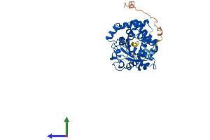 AlphaFold protein structure predicition of Mouse Recombinant Ttpal Protein, UniprotID Q9D3D0