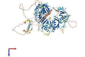 AlphaFold protein structure predicition of Mouse Recombinant Stk11ip Protein, UniprotID Q3TAA7